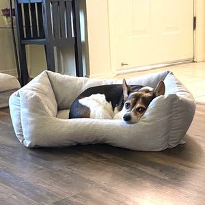 Meet your Posher, Jackie